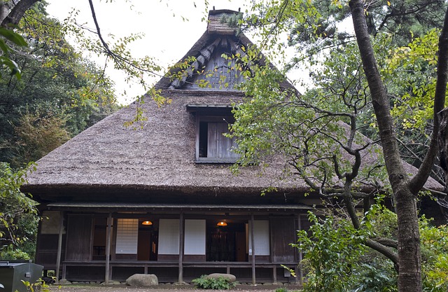 Construction de maison : style japonais ou style européen ?