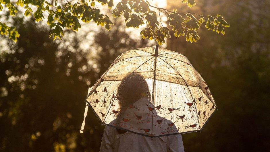 Parapluies pour femmes : un accessoire à la fois chic et solide