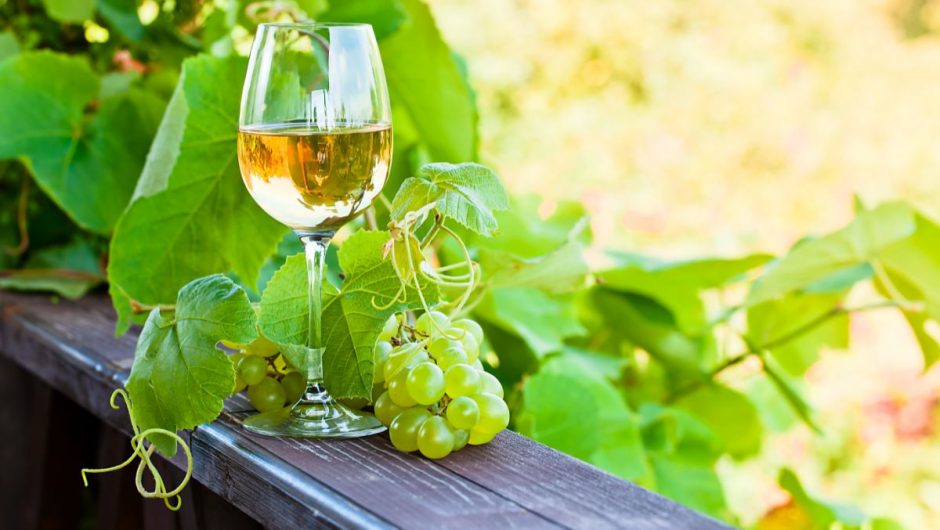 Les caractéristiques distinctives du vin blanc