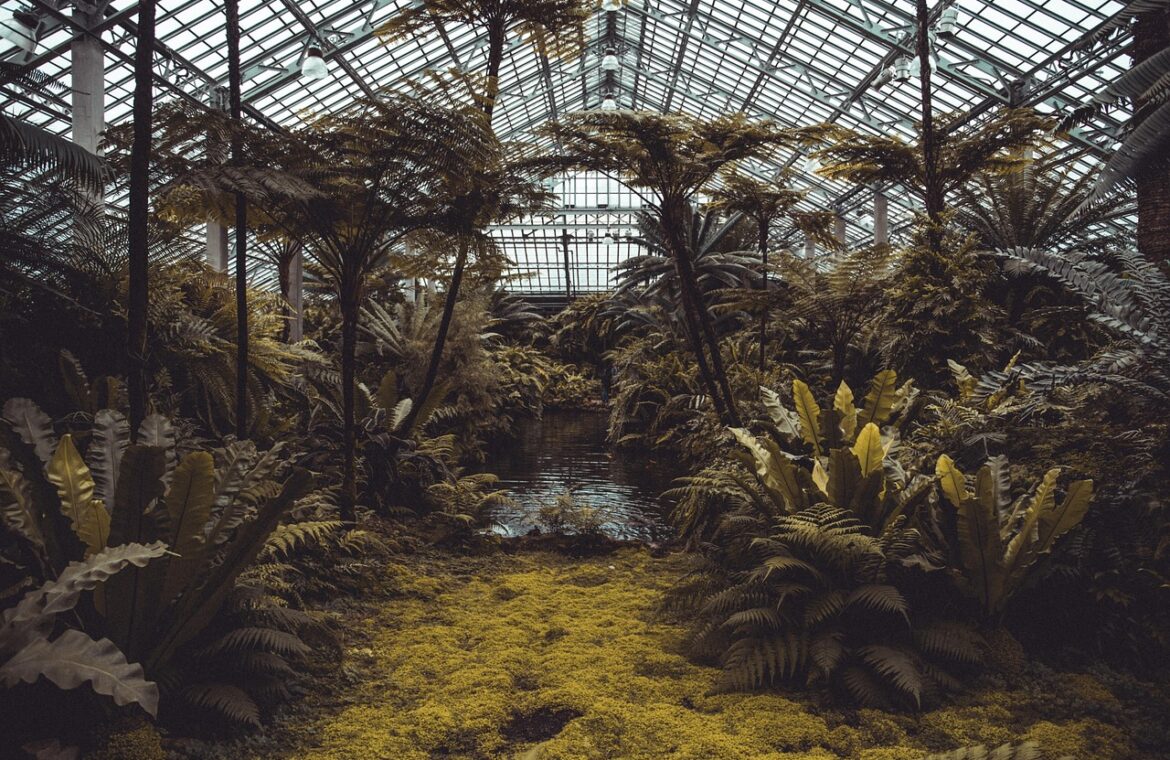 découvrez le conservatoire bioclimatique, une solution innovante et écologique pour profiter de votre espace de vie toute l'année, tout en optimisant l'efficacité énergétique et le confort thermique de votre habitat.