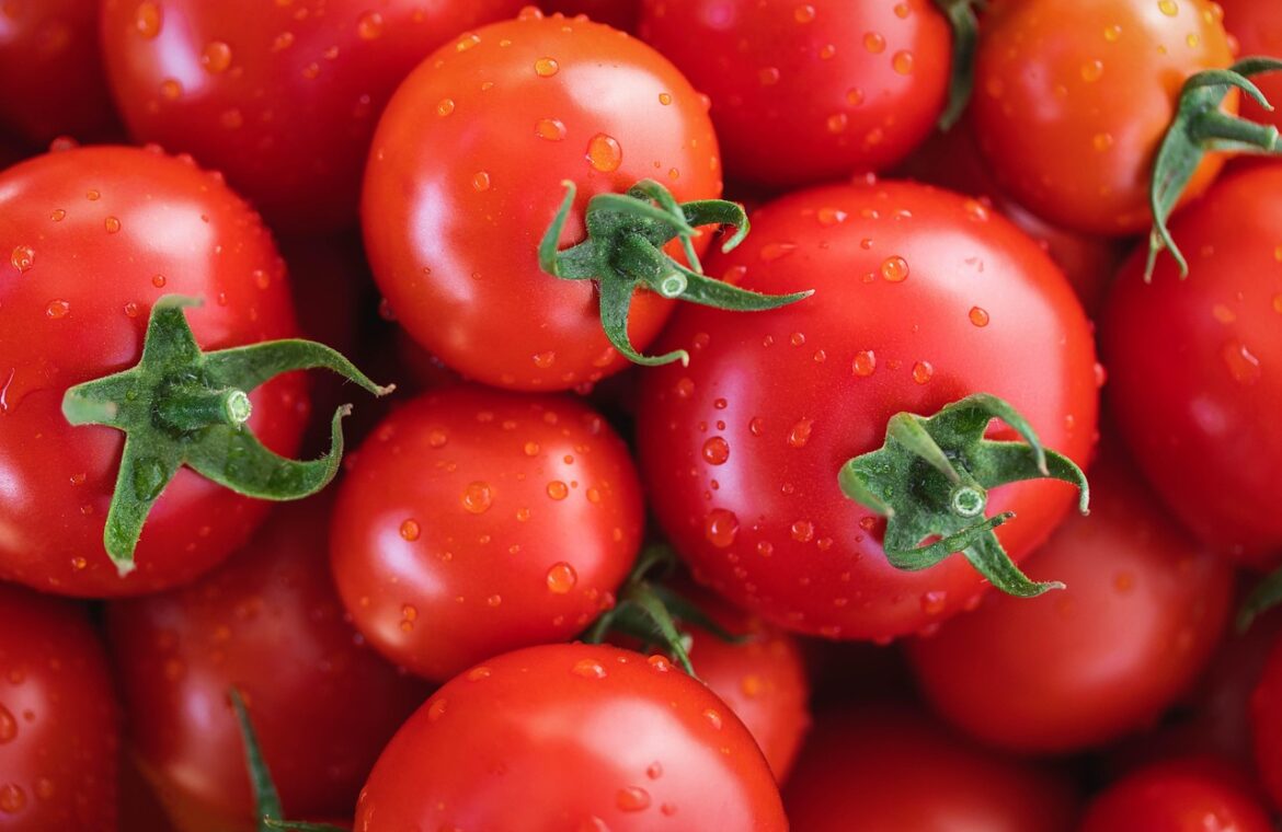 découvrez tout ce qu'il faut savoir sur les tomates de serre : avantages, méthodes de culture, conseils d'entretien et bienfaits pour des récoltes saines toute l'année.