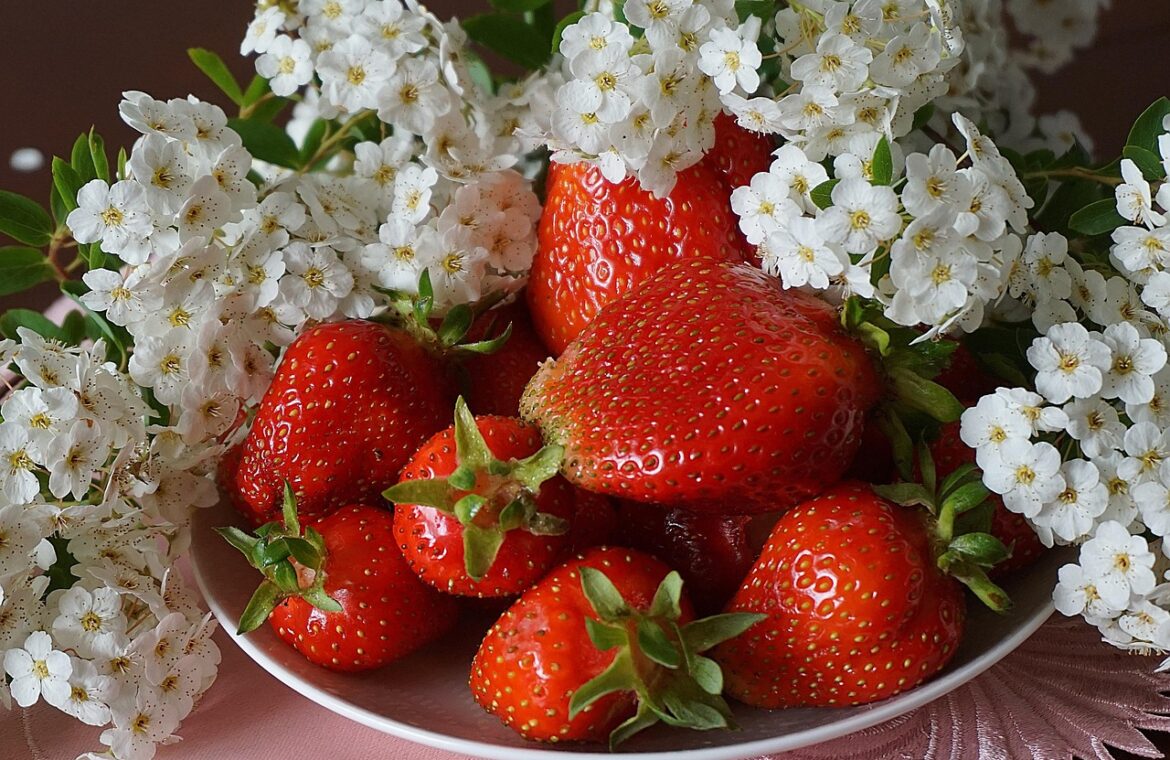 découvrez l'arôme irrésistible des fraises parfumées : un fruit sucré et juteux, parfait pour vos desserts et vos pauses gourmandes.