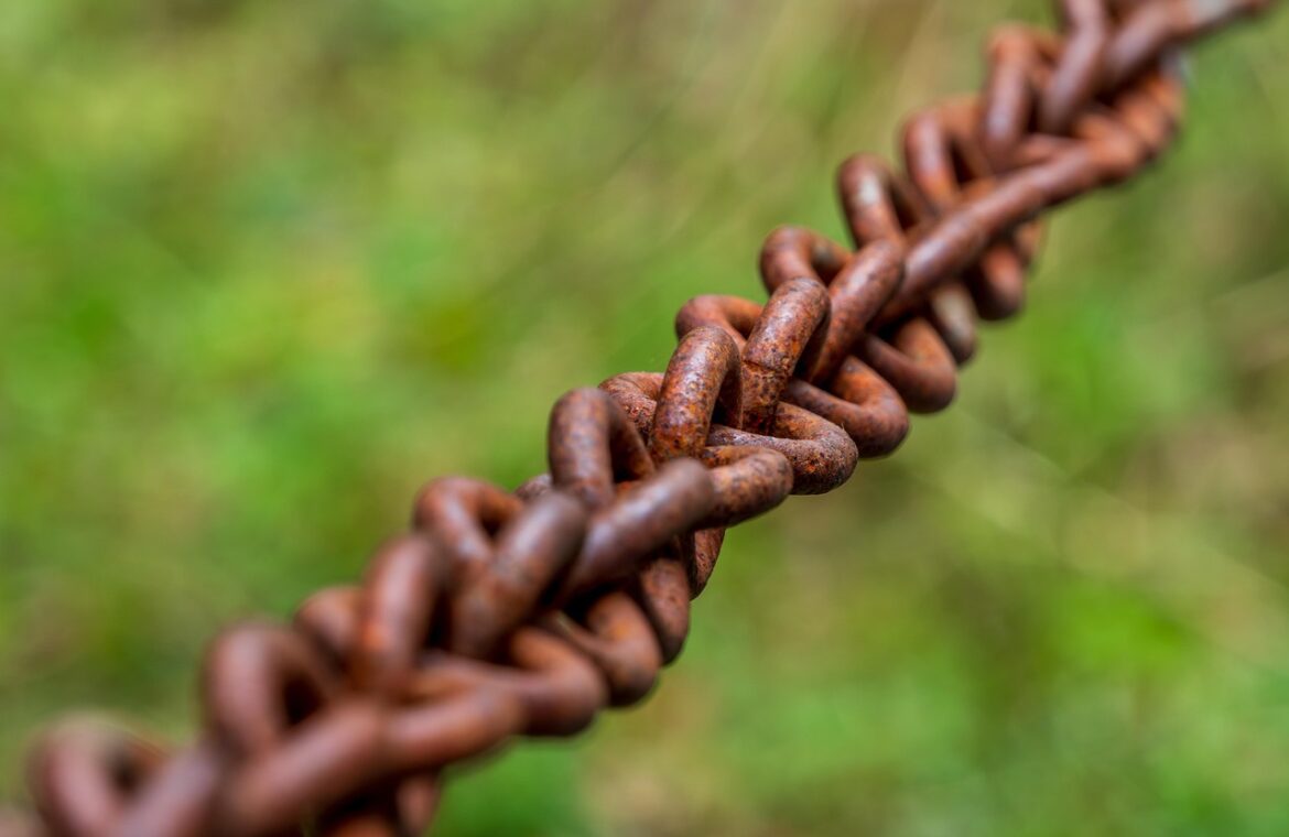 découvrez comment choisir la barrière levante idéale pour sécuriser vos accès. guide complet pour sélectionner la barrière automatique adaptée à vos besoins.
