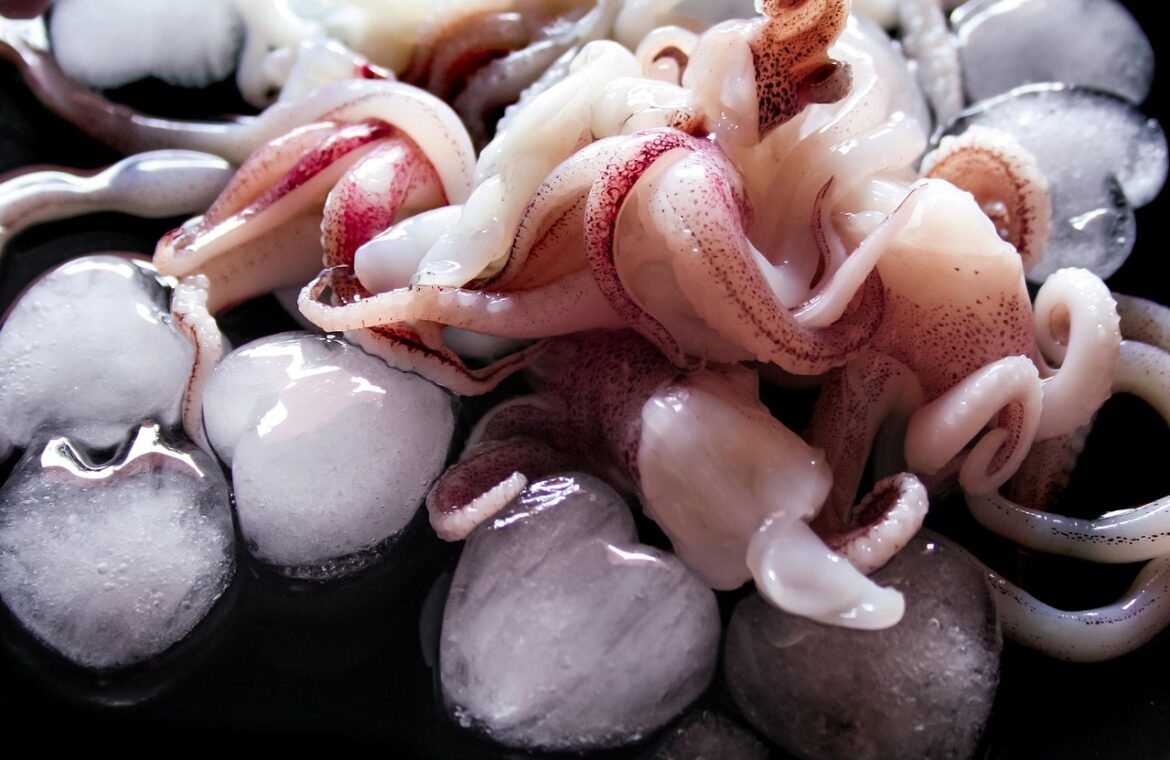 découvrez nos fruits de mer frais, directement de la mer à votre assiette pour une saveur authentique et une qualité exceptionnelle.