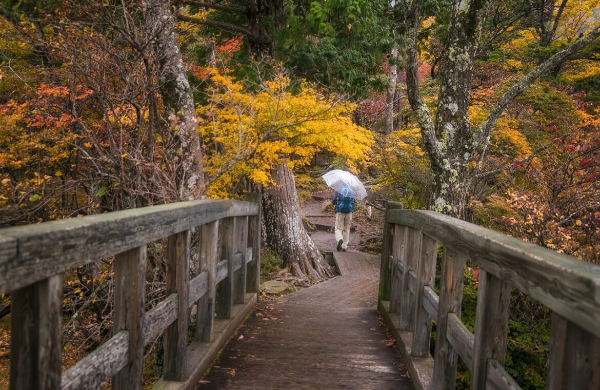 découvrez comment la personnalisation améliore l'expérience utilisateur en adaptant les contenus et services selon les besoins et préférences individuelles.
