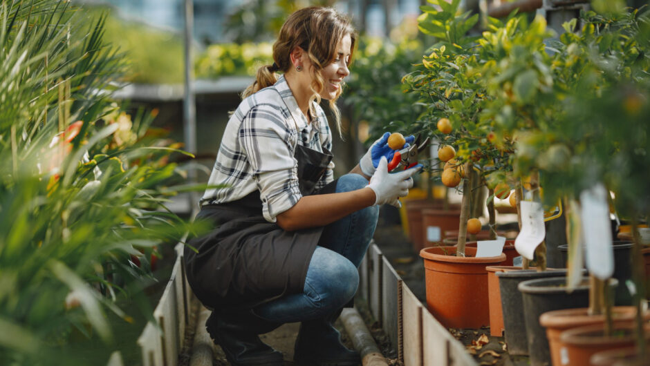 Soutenir_producteurs_locaux