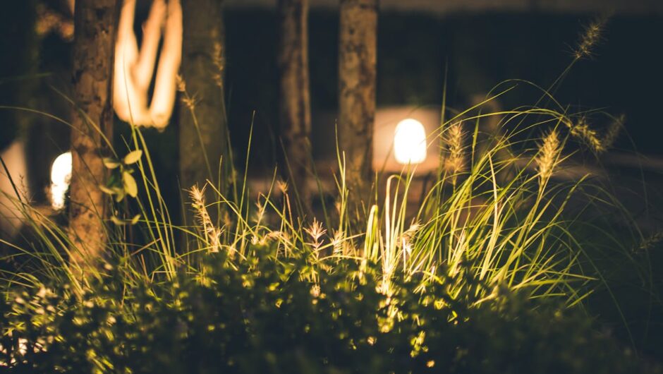 Spot_encastré_orientable