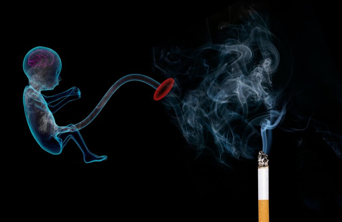 découvrez les différents risques pour la santé, leurs causes, symptômes et conseils pour les prévenir afin de protéger votre bien-être au quotidien.