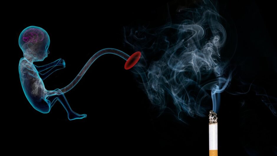 Les risques sanitaires des kebabs bas de gamme : à quoi faire attention ?