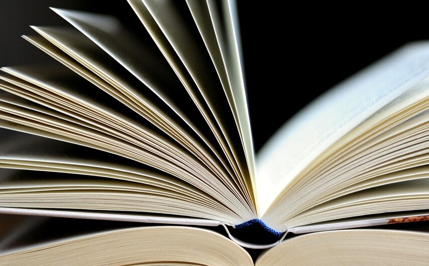 découvrez comment choisir le matériau idéal pour votre véranda, alliant esthétique, durabilité et performance énergétique.