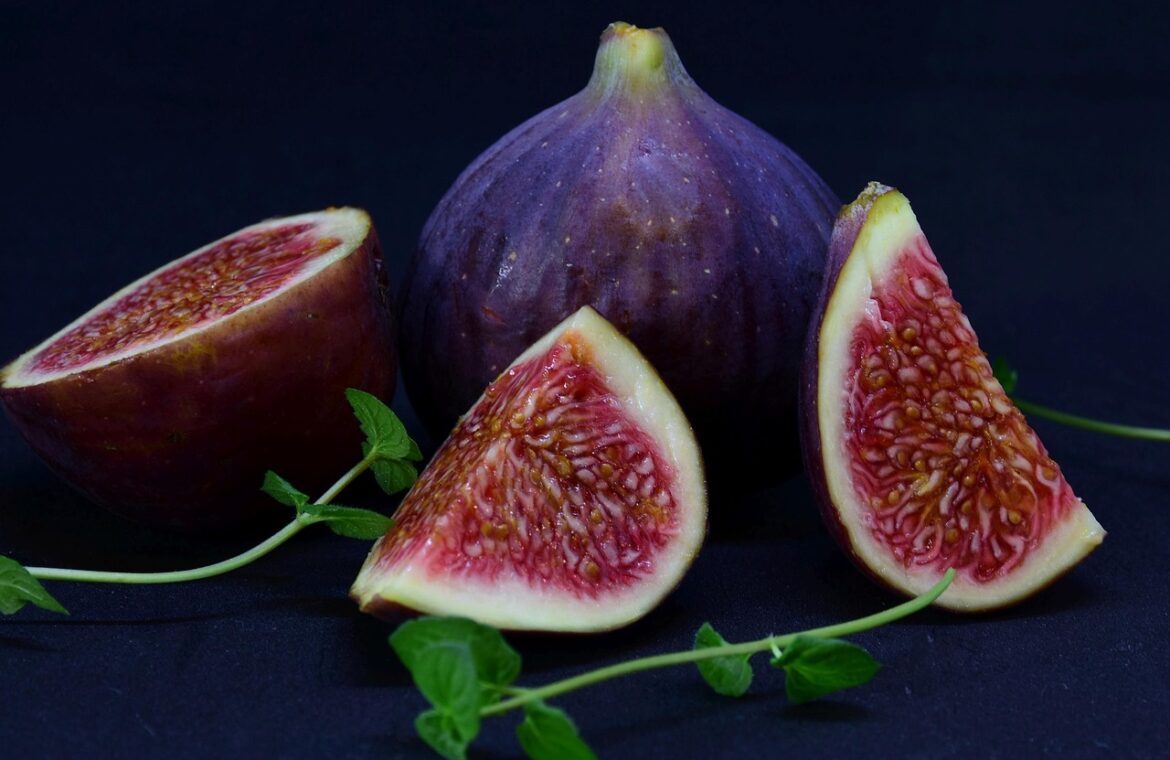 découvrez comment prendre soin de votre ficus lyrata pour qu'il reste sain et vigoureux grâce à nos conseils d'entretien faciles à suivre.