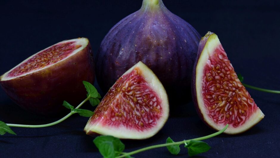 Comment avoir un ficus lyrata touffu et majestueux ?