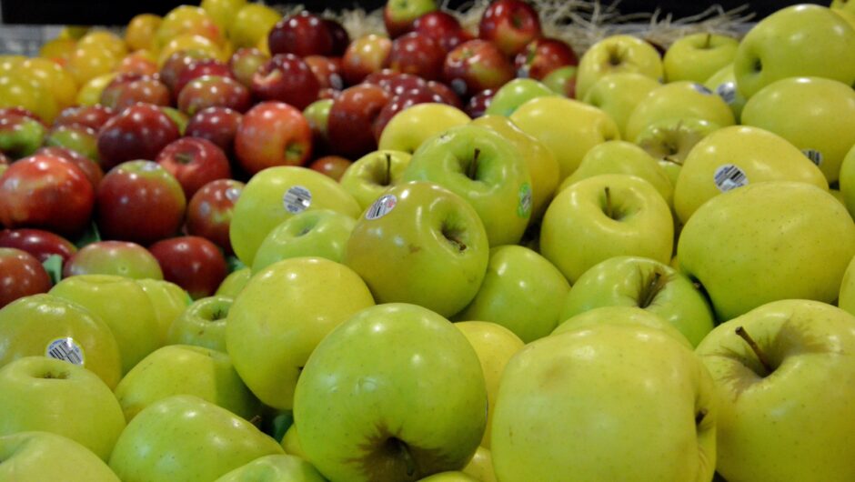 Importation alimentaire : obligations sanitaires à connaître absolument