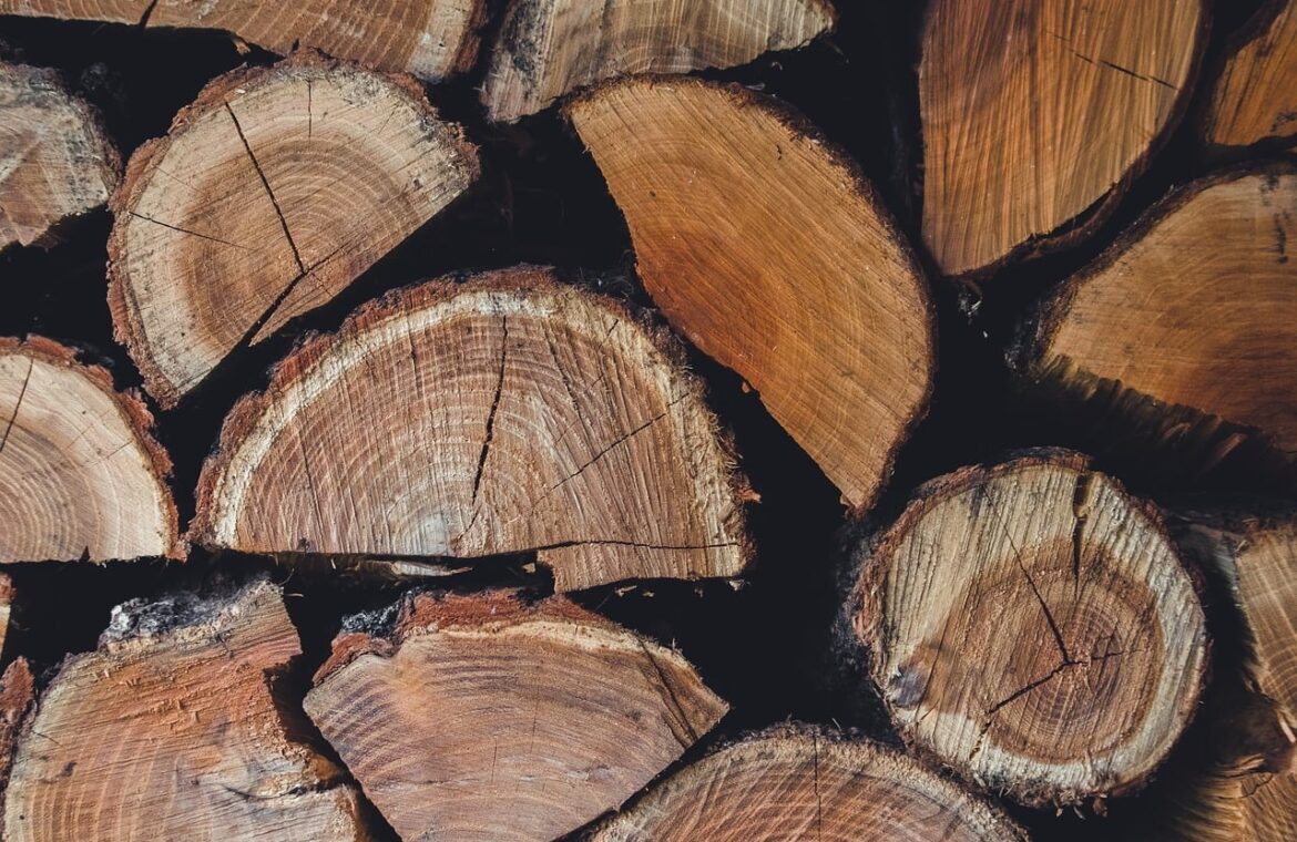 bois de chauffage certifié de haute qualité, parfaitement sec et prêt à l'emploi pour un feu optimal et économique.