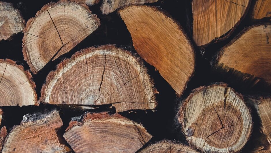 Bois de chauffage certifié : quels avantages ?