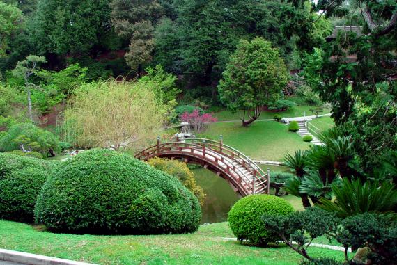 Entretien de jardin au fil des saisons : guide pratique