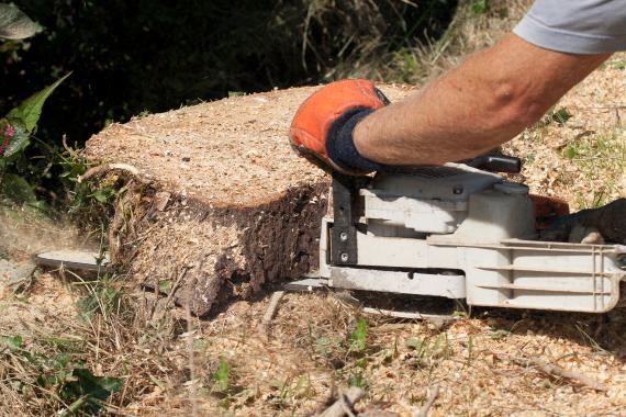 Quand privilégier le sciage au sol en rénovation ?