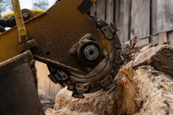 Abattage et essouchage : les méthodes pour éliminer la souche restante