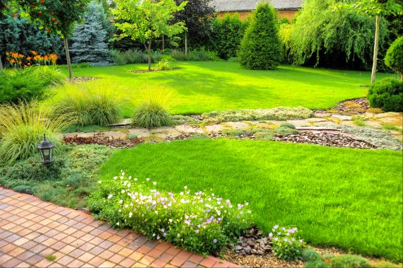 Aménagement paysager : comment structurer un jardin en pente ?